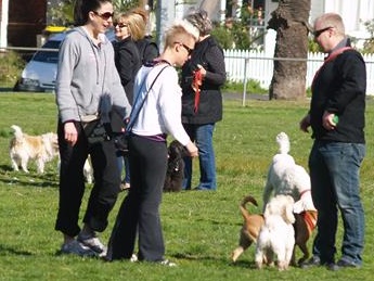 DOG PSYCHOLOGY BAG221
